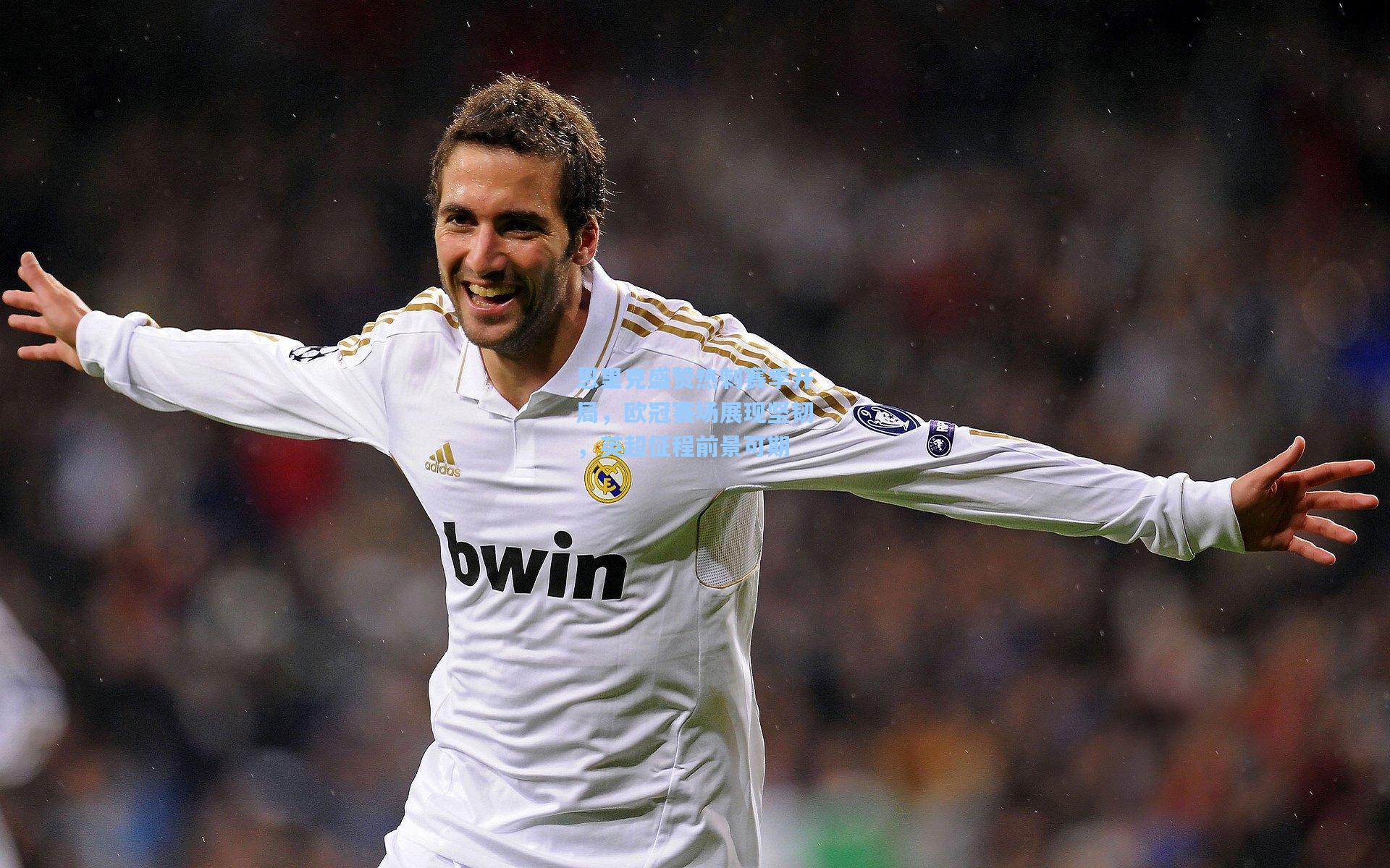 恩里克盛赞热刺赛季开局,欧冠赛场展现坚韧,英超征程前景可期