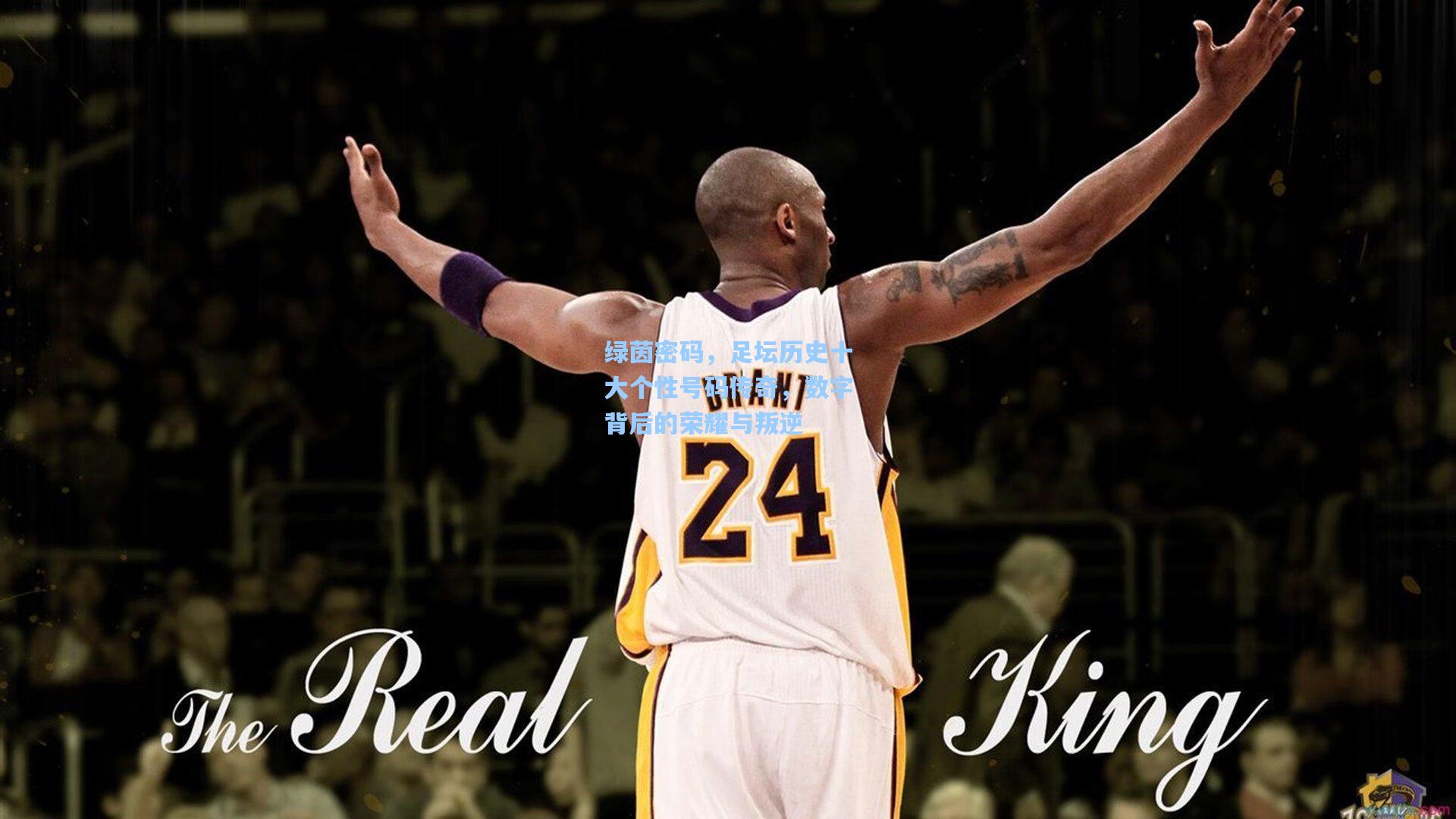 绿茵密码，足坛历史十大个性号码传奇，数字背后的荣耀与叛逆